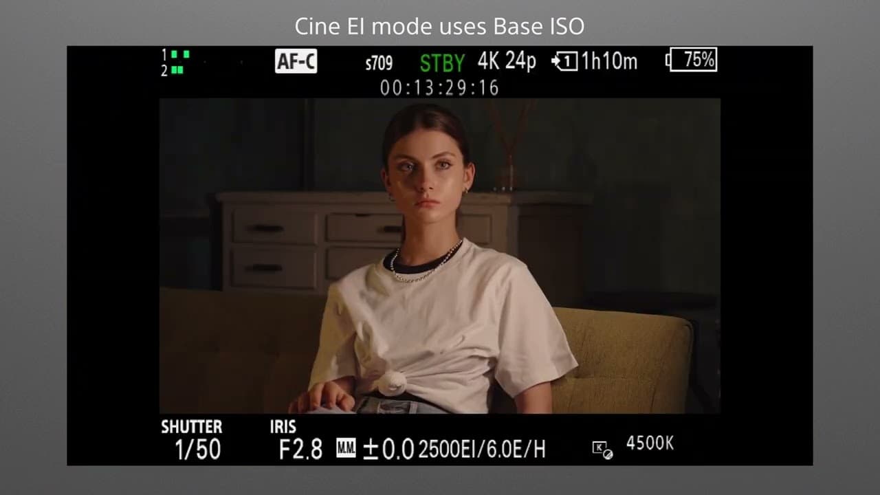 Cine EI, Cine EI Quick, and Flexible ISO modes